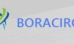 Boracircle